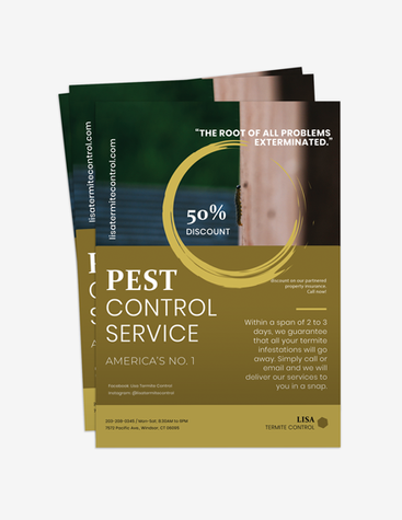 Simple Pest Control Company Flyer