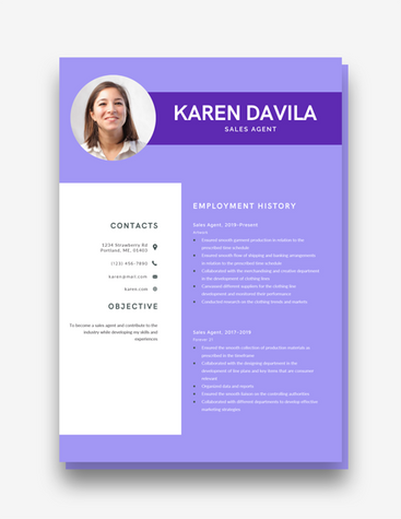 Unique Sales Agent Resume