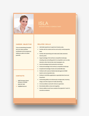 Advertising Consultant Resume