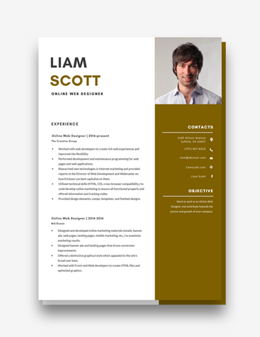 Online Web Designer Resume