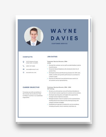 Blue CSR Director Resume