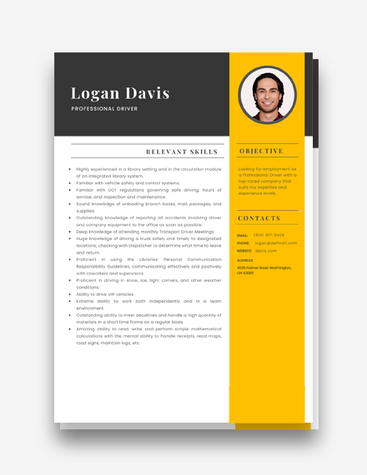 Minimalist Chauffeur Resume