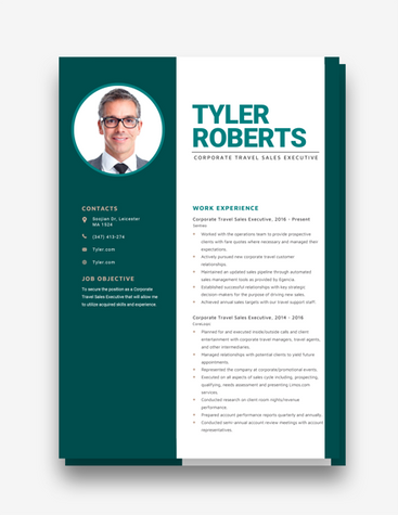 Green Sales Executive’s Resume