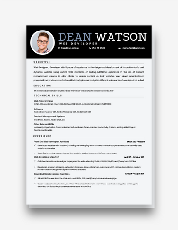 Simple Web Developer Resume