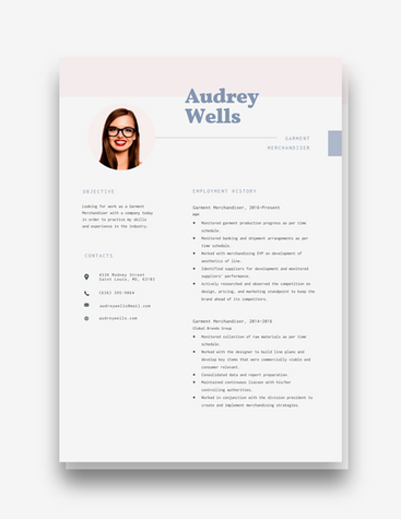 Minimalist Merchandiser Resume