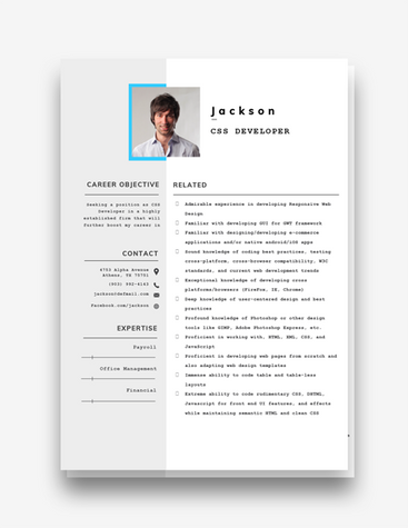 Modern CSS Developer Resume