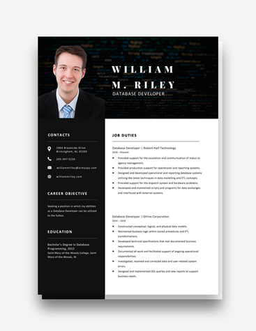 Bold Database Developer Resume