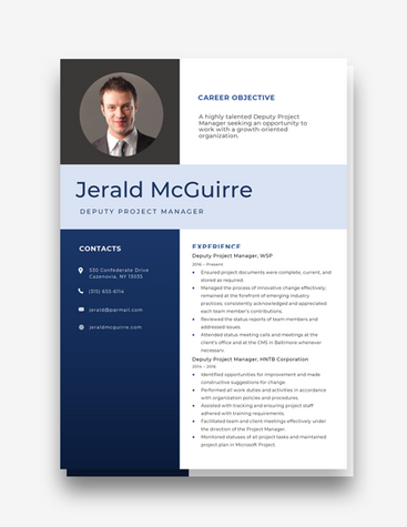 Deputy Project Manager Resume