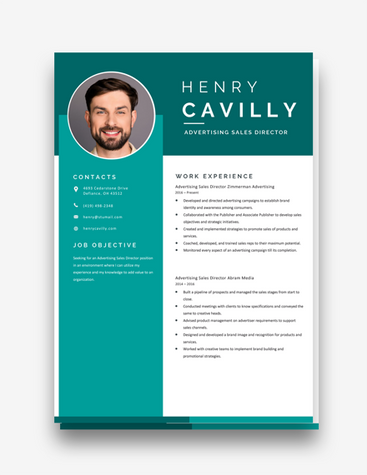 Simple Sales Director Resume