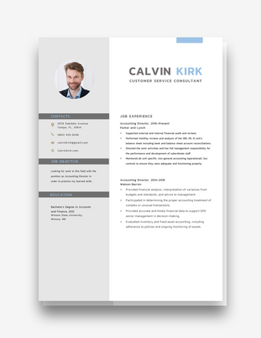 Customer Support Consultant CV