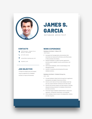 Neat Database Architect Resume