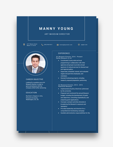 Blue Art Museum Director CV