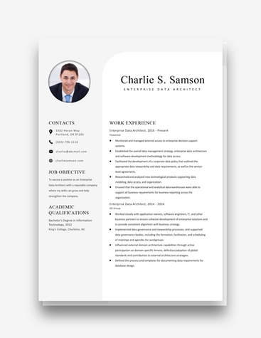 Simple Data Architect Resume